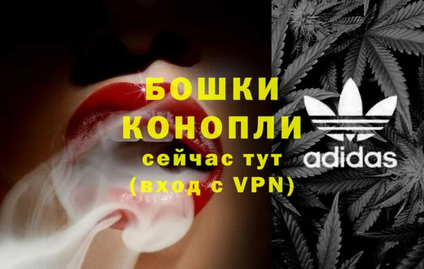 гидра Алексеевка