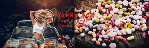 винт Алзамай