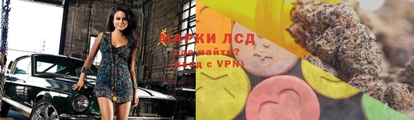 гидра Алексеевка